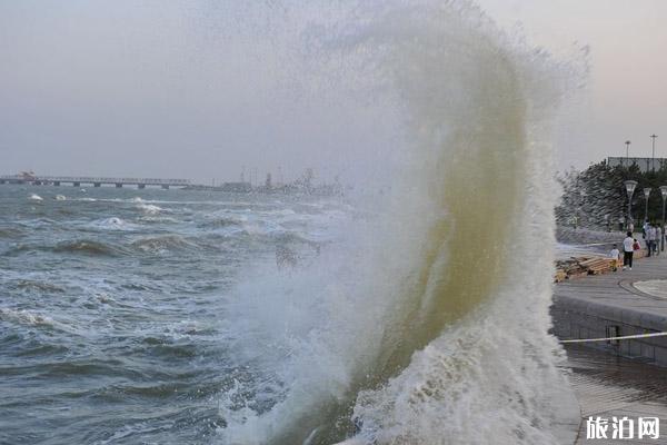 2019台风日照最新消息 2019日照台风停运列车+公交+长途汽车