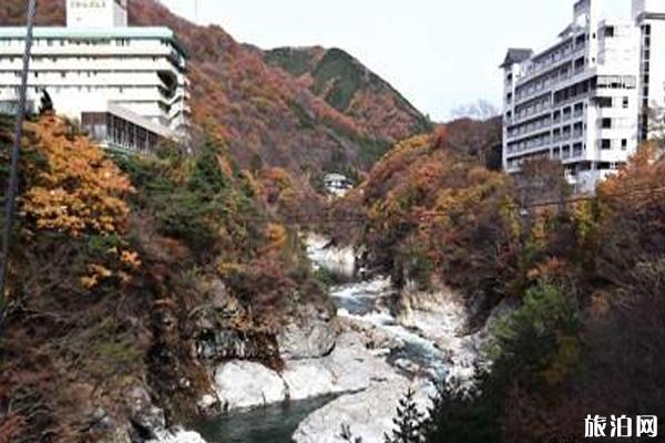 日本关东温泉推荐