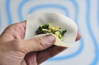 荠菜馄饨的做法步骤6