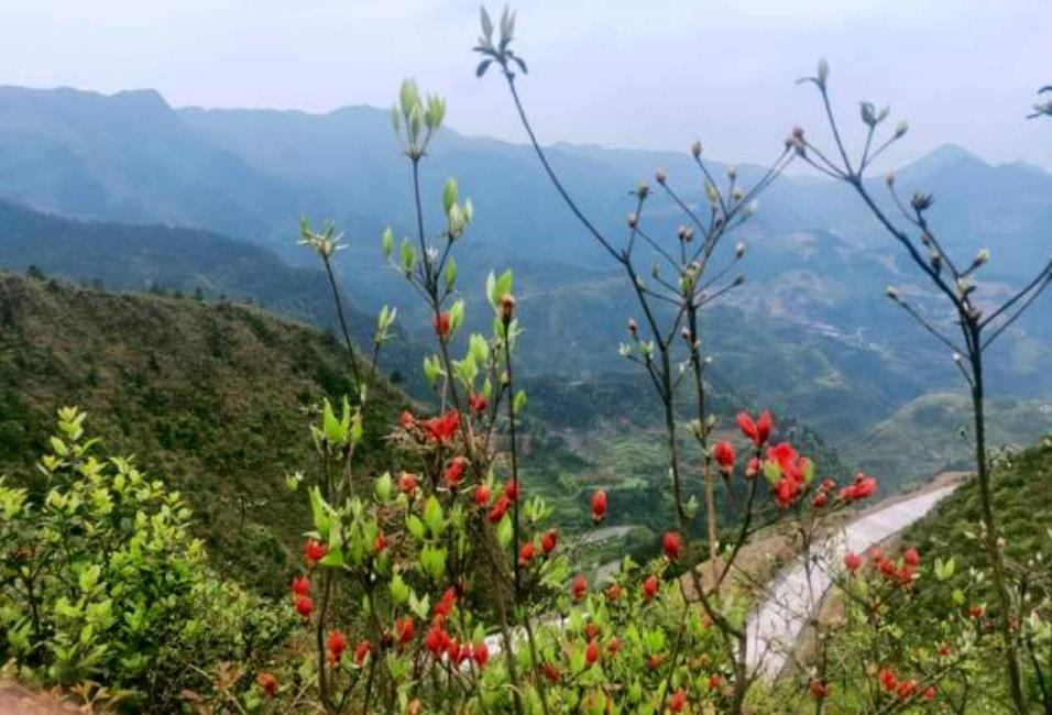 2020五一天气预报 2020五一天气大概多少度