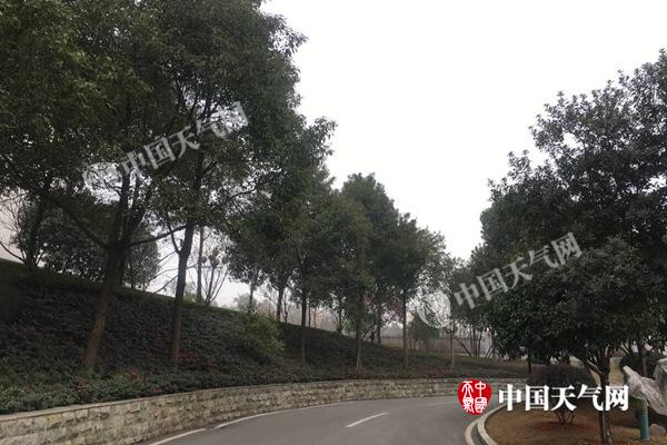 湖南气温节节高14日将超20℃ 除夕阴雨来扰