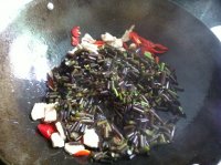 蕨菜炒肉的做法步骤5