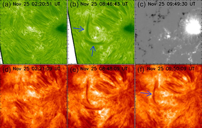 活动区暗条形成过程。(a)-(b) NVST H-alpha 图像；(c) HMI/SDO视向磁场；(d)-(f) AIA/SDO 304 图像