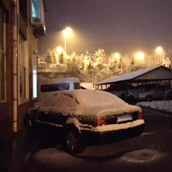 美不胜收！山东威海迎下半年初雪 雪花飞舞显冬意