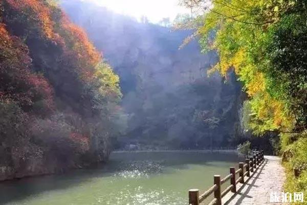 甘肃秋景哪里最美