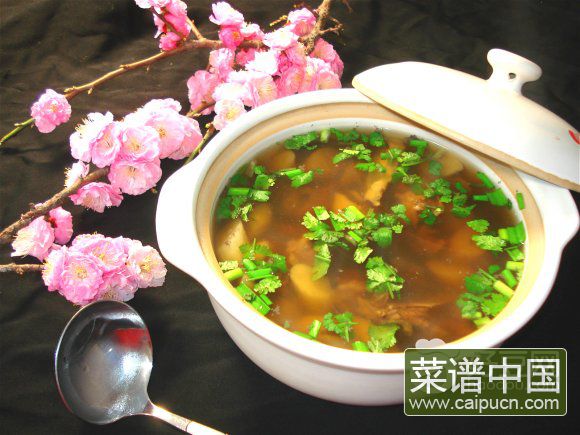 清炖乳鸽