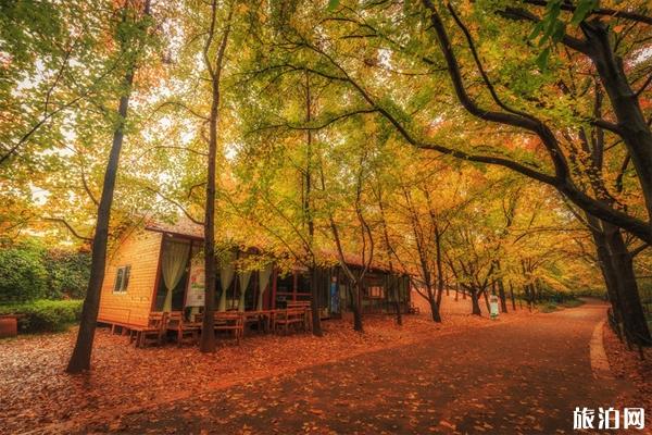 昆明适合拍照的地方有哪些