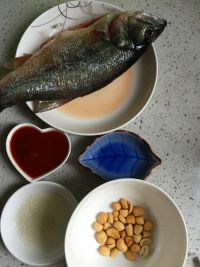 茄汁鲈鱼的做法步骤1