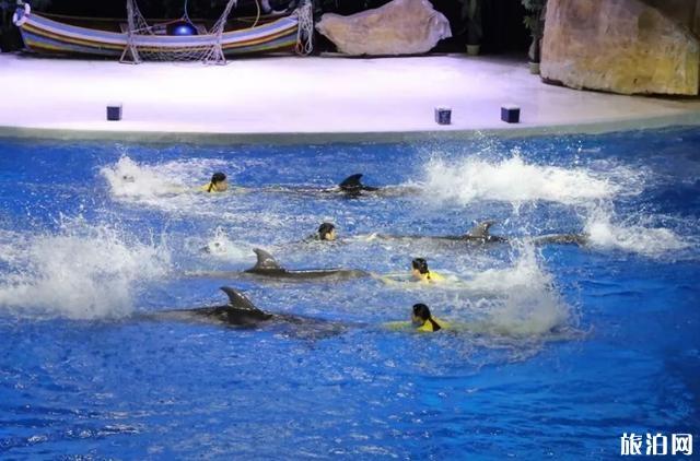 重庆永川乐和乐都有什么好玩的游玩项目