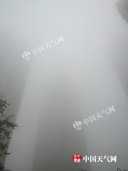 今晨重庆因雾多条高速路段被管制 明后天早间仍有雾