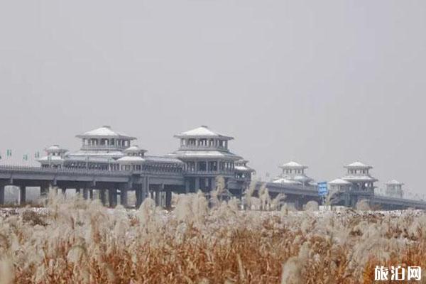 陕西哪里芦苇最多 陕西哪里芦苇荡最漂亮