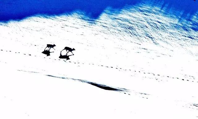 斯瓦尔巴群岛好玩吗 斯瓦尔巴群岛怎么样 斯瓦尔巴群岛好玩吗 斯瓦尔巴群岛怎么样