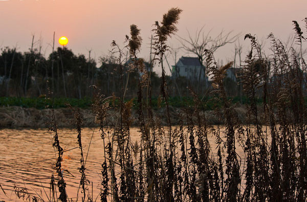 崇明岛有什么好玩的 上海崇明一日游攻略