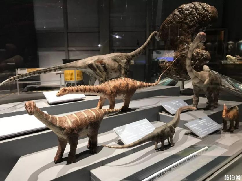 2019广州恐龙展展览时间+地点+展览看点