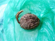 云南气锅鸡的做法步骤1