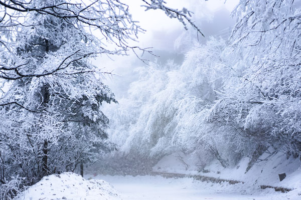 成都到峨眉山多少公里 成都到峨眉山怎么走