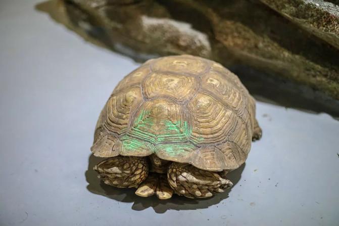 西宁童梦乐园在哪 西宁童梦乐园游玩攻略 西宁童梦乐园在哪 西宁童梦乐园游玩攻略