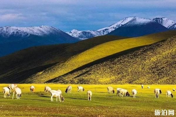 去西北旅游需要带什么东西
