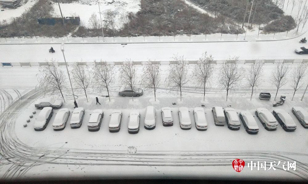 辽宁沈阳等地迎今年入冬首场降雪 又可以玩雪啦