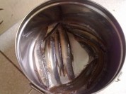 香煎泥鳅的做法步骤2