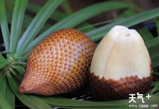 云南西双版纳景洪市知名特产   西双版纳特产推荐