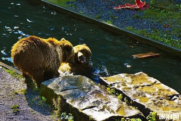 2019伯尔尼自由行攻略（景点介绍+交通路线）