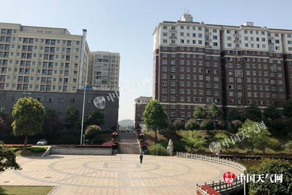 s1521773140031090709 (1)_副本.jpg