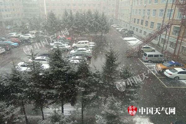 QQ图片20180409150436.jpg