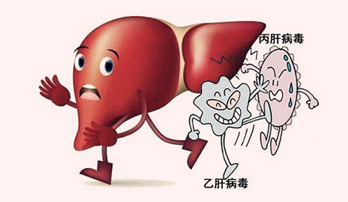 转氨酶高是怎么回事 什么因素导致转氨酶高