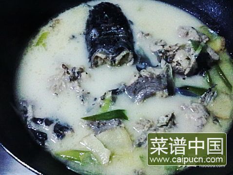 奶汤鲶鱼