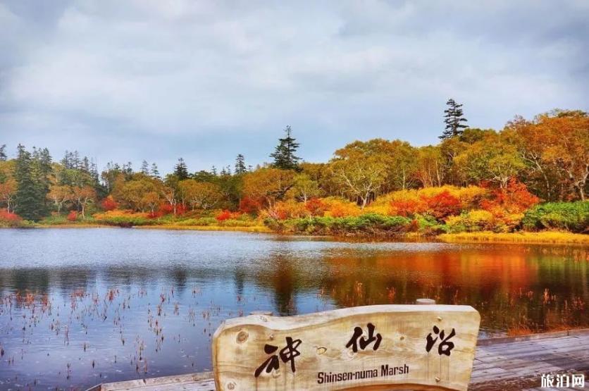 2019日本赏枫叶的最佳季节+最佳地方