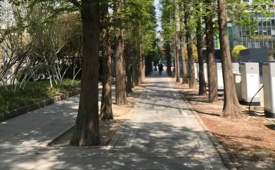 烟台发布高森林火险气象等级预警 周末最高气温将超过25℃