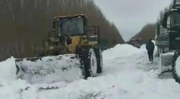 黑龙江全省大暴雪深度达18厘米 齐齐哈尔出动人员4700余人清理积雪
