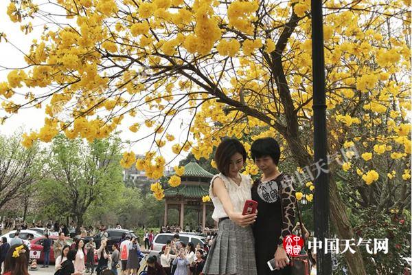 广东今起天晴气温明显回升 周末最高温重回20℃以上