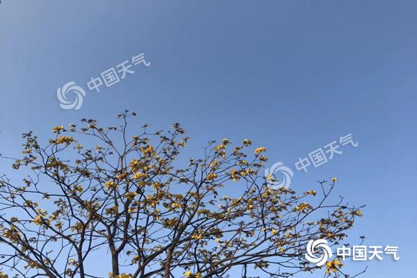QQ图片20190304105213_副本.jpg