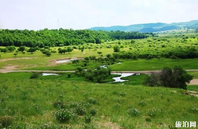 塞罕坝御道口自驾游旅游攻略