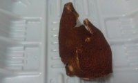 陈皮赤小豆的做法步骤2