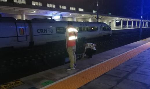 贵州地震最新消息2020 震区段线路已封锁无人员伤亡