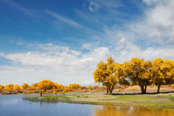 额济纳旗胡杨林几月去好 额济纳旗胡杨林几月最美