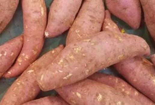 新疆塔城沙湾知名特产有哪些 适合带回家的沙湾特产