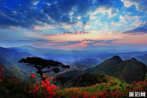 武功山怎么去 武功山四季之美 武功山怎么去 武功山四季之美