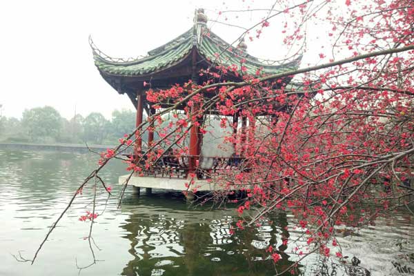 成都赏花好去处 成都赏花去哪好