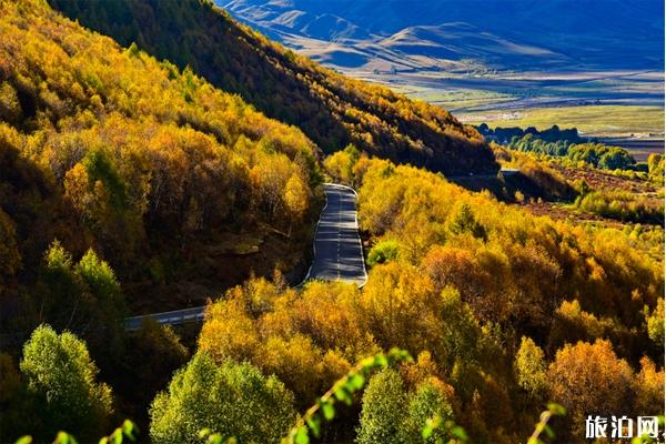 稻城秋天摄影技巧+注意事项 稻城秋天摄影技巧+注意事项