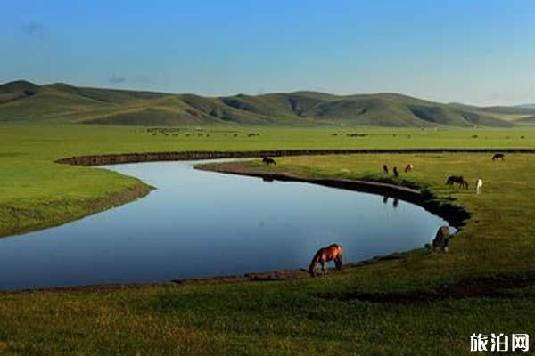 呼伦贝尔大草原的经典路线有哪些  旅行过程中需要注意哪些问题