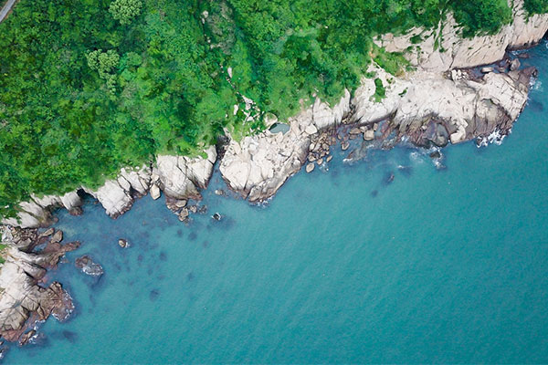 花鸟岛好玩吗 花鸟岛怎么去