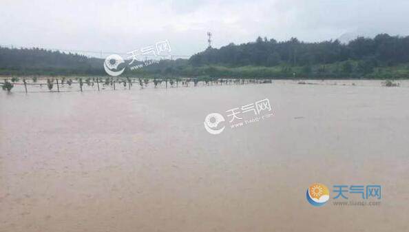本周广西强降雨继续“霸屏” 桂林柳州等地局部大暴雨