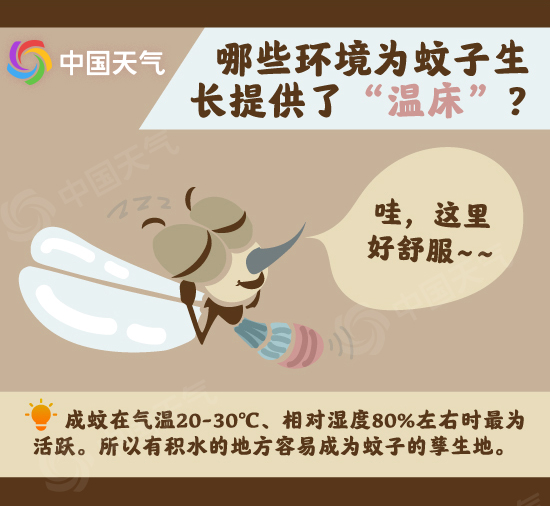 脑洞科普：风雨究竟能不能“消灭”蚊子？