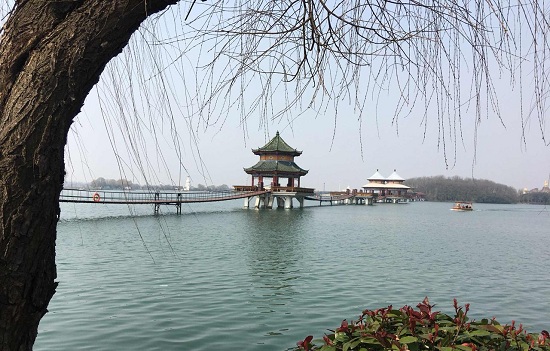 阜阳八里河风景区有哪些发展历史