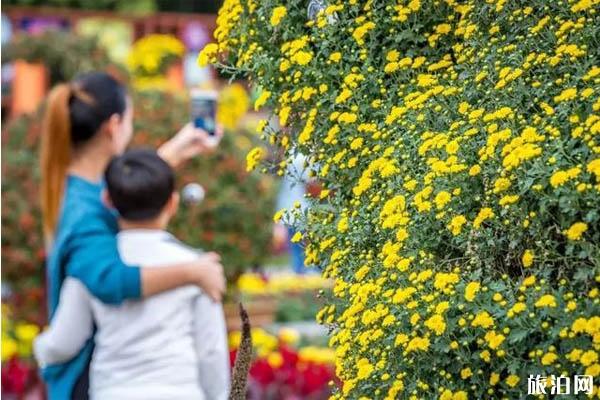 2019洛阳王城公园菊花展时间+地点+门票+介绍