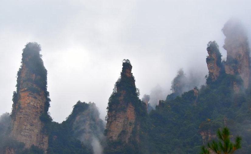 美不胜收！张家界武陵源雨后现云海 飘渺似仙境